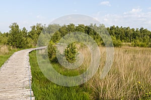 Nationaal Park De Groote Peel, National Park Groote Peel