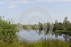 Nationaal Park De Groote Peel, National Park Groote Peel