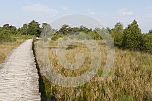 Nationaal Park De Groote Peel, National Park Groote Peel