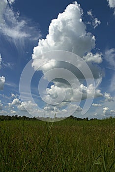 Nationaal Park Weerribben Nederland, National Park Weerribben Ne