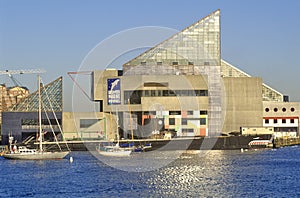 National Aquarium and Inner Harbor, Baltimore, Maryland