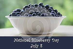 National blueberry day, July 8