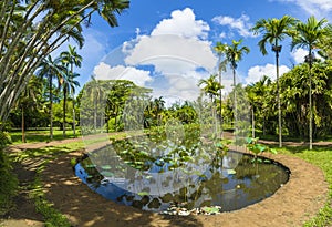 National Botanical Garden of Mauritius island, Africa