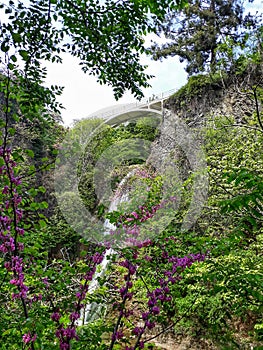 National Botanical Garden in Tbilisi