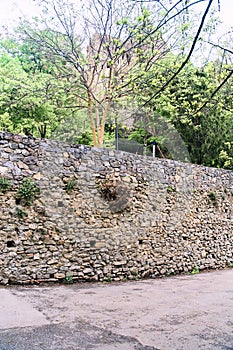 National Botanical Garden in Tbilisi. Various plants from all over the world