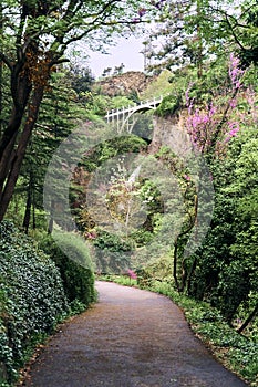 National Botanical Garden in Tbilisi. Various plants from all over the world