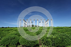 National Capital Columns in National Arboretum