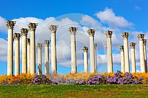 National Capitol Columns in the morning.