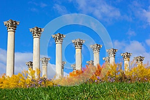 National Capitol Columns at sunset