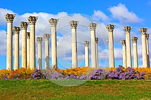 National Capitol Columns at sunset