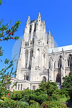 National Cathedral Washington DC