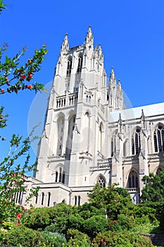 National Cathedral Washington DC photo