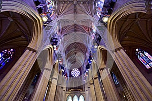 National Cathedral, Washington DC, United States