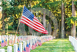 National Cemetery with a flag on Memorial day in Washington, Usa.