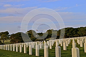 National Cemetery Headstones