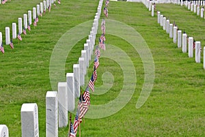 National Cemetery Headstones & Flags