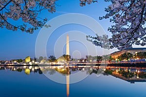 National Cherry Blossom Festival in Washington, DC