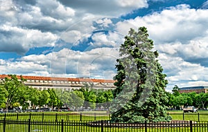 The National Christmas Tree in front of the White House - Washington, DC