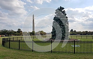 The National Christmas Tree in Washington, DC, USA