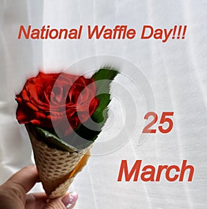 National day of a wafer, wafer, a rose in a wafer, on March 25, on March 25 a wafer holiday, a rose red, a rose, a wafer, a holida