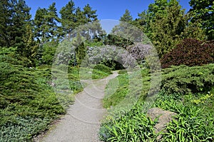 National dendrological park `Sofiyivka`