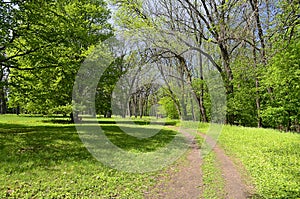 National dendrological park `Sofiyivka`