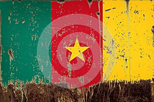 National flag of Cameroon on metal texture