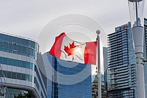 National Flag of Canada. Vancouver City skyscrapers skyline in the background with sunlight. Concept of canadian urban city life.