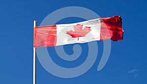 The national flag of the country of Canada