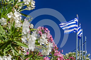 National flag of Greece waving