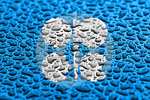 National flag of OPEC made of water drops. Background forecast concept