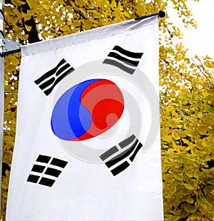 The national flag of South Korea photo