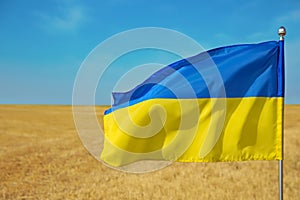 National flag of Ukraine in wheat field against blue sky, closeup