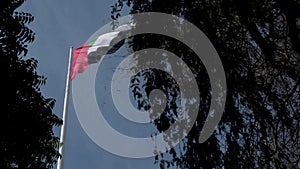 National Flag of United Arab Emirates (UAE) on a Pole Waving in Wind against Clear Blue Sky with date palm leaves.