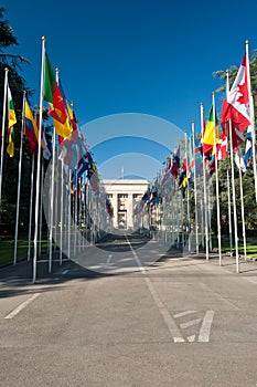 National flags