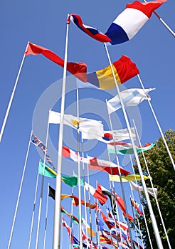 National flags,