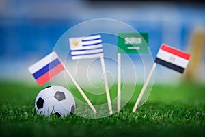 National Flags of Russia, Saudi Arabia, Egypt, Uruguay. Flags on green grass on football stadium