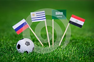 National Flags of Russia, Saudi Arabia, Egypt, Uruguay. Flags on green grass on football stadium