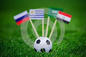 National Flags of Russia, Saudi Arabia, Egypt, Uruguay. Flags on green grass on football stadium