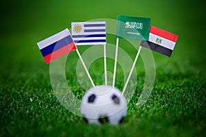 National Flags of Russia, Saudi Arabia, Egypt, Uruguay. Flags on green grass on football stadium