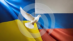 National flags of ukraine and russia with flying dove of peace