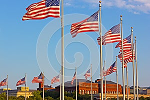 National flags with US capital panorama on background.