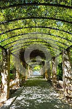 The National Garden(formerly the Royal Garden) of Athens