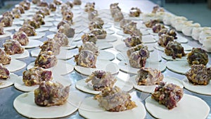 National Georgian cuisine Khinkali. Closeup shot of chef hands preparing Dumplings on metal background. Lines of raw