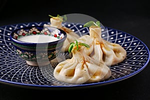 National Georgian cuisine. Khinkali with meat. Khinkali on a ceramic plate close-up