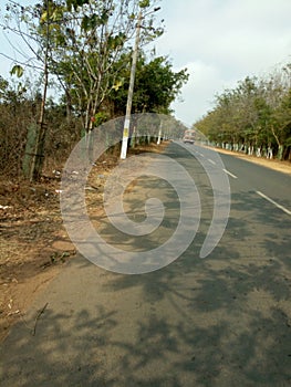 NATIONAL HIGHWAY OF  INDIA THROUGRH FOREST SAL TREE