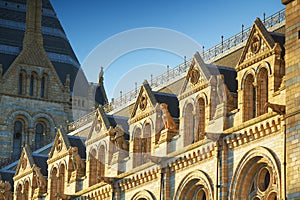 National History Museum: sculpture details, London