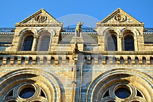 National History Museum: windows details, London