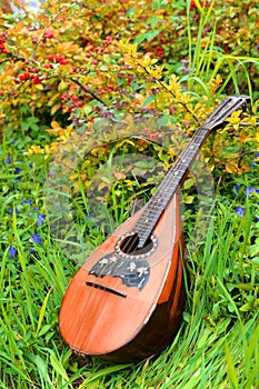 National mandolin