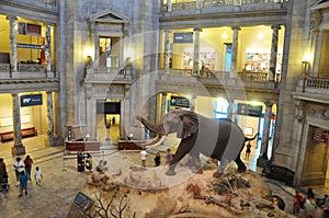 National Museum of Natural History, Washington DC, USA